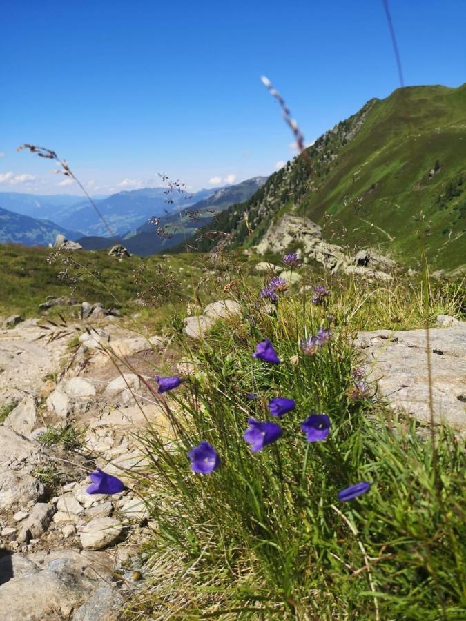 Ferienwohnungen Fichtenheim Mayrhofen Luaran gambar